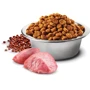 Сухой диетический корм Farmina N&D Quinoa Digestion Adult для кошек при нарушениях пищеварения ягненок, киноа 1.5 кг (179?969): Тип Сухой корм