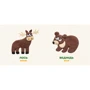 Лісові звірі. Forest animals: Автор Олена Забара