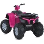Детский электромобиль Bambi Квадроцикл розовый (M 6060EL-8(24V))