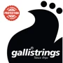 Струна для гитар Струны для акустической гитары Gallistrings LS1027-12 LIGHT: Тип Комплект струн