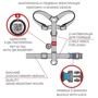 Шлея для собак WAUDOG Nylon анатомическая H-образная с QR-паспортом рисунок Авокадо на розовом пластиковый фастекс XL Ш 35 мм А 55-95 см В 70-110 см (323-4051): Производитель WAUDOG