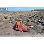 Сборная 3D модель Eugy Зоопарк: Морж (XEG-107)