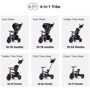 Велосипед трехколесный Qplay Rito Deluxe Brown (S380-17RitoDeluxeBrown) фото 13