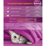 Упаковка влажного корма для котят Whiskas говядина в соусе 28х85 г (5900951302701): Тип Влажный корм