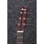 Гітара акустична Ibanez AAD100 фото 6