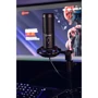Микрофон Lorgar Voicer 721 Black (LRG-CMT721): Выходной штекер USB