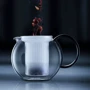 Заварочный чайник Bodum Assam 0.5 л (1842-01GVP): Материал Стекло, Пластик