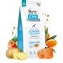 Сухий корм Brit Care Dog Grain-free Junior Large Breed для цуценят гігантських порід 12кг (8595602558865): Порода Гигантские