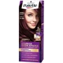 Palette Крем-краска для волос Интенсивный цвет 4-89 (RFE3) Баклажан 110 ml