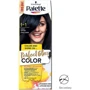 Palette PGC 1-1 Краска для волос Сине-черный с аргановым маслом 70 ml фото 6