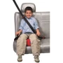 Бустер Chicco Quasar Plus Astral 2/3 (15-36 кг) (60893.77): Вес ребенка от 15 до 36 кг