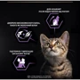 Влажный корм Pro Plan Baby Kitten Нежный мусс с курицей 6х85 г (8445290673718): Основные ингредиенты Курица