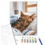 Картина по номерам Brushme Утренний котик 40x50 см (BS52320): Производитель Brushme