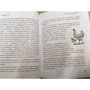 Розамунд Янг: Секретная жизнь коров. Истории о животных, которые не так глупы, как нам кажется: Количество страниц 160