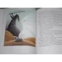 Кейт ДиКамилло. Приключения мышонка Десперо фото 8