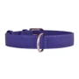 Нашийник Collar Glamour без прикрас 20 мм 30-39 см фіолетовий (4820152560889): Виробник Collar