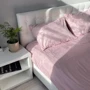 Комплект постельного белья Emily Fiber Roze Stripe микрофибра евро (94031157)