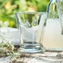 Стакан La Rochere Abielle для воды 260 мл L00612101: Тип Cтакан