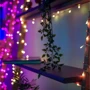 Гирлянда Smart LED Twinkly Pro Strings RGBW 250 одна линия IP65 AWG22 PVC прозрачный: Тип Линейная
