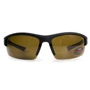 Спортивные очки Очки поляризационные BluWater Daytona-1 Polarized (brown) коричневые в черно-синей (4ДЕЙТ1-Г50П): Тип Открытые