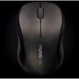 Мышь RAPOO Wireless Optical Mouse gray (3000p): Интерфейс подключения Wireless (радио интерфейс)