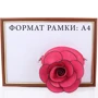 Женский клатч HJP розовый (UHJP8138-5) фото 9