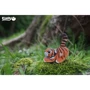 Сборная 3D модель Eugy Зоопарк: Тигр (XEG-012)