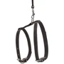 Шлея кошачья Collar с поводком кожаная 12 мм 105 см черный (05451): Производитель Collar