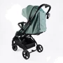 Детская прогулочная коляска Joy Elegans (A-40481)