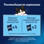 Влажный дополнительный корм FELIX Суп для взрослых кошек с говядиной 48 г (7613036632294): Вес упаковки 48 г