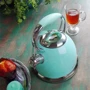 Чайник Fissman Felicity 2.6 л (5958): Матеріал чайника Нержавіюча сталь