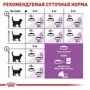 Сухой корм Royal Canin Sterilised 7+ для кастрированных котов и стерилизованных кошек старше 7 лет 400 г (2560004): Тип Сухой корм