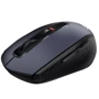 Мышь Acer OMR070 WL Black (ZL.MCEEE.00D, ZL.MCEEE.02F): Интерфейс подключения Wireless