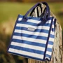 Ємність для зберігання Kitchen Craft Сумка для ланчу Blue Stripes 4 л (CMSTRPHAND): Тип Сумка для ланча