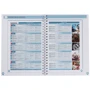 Roadmap B2 Teacher's Book with Digital Resources & Assessment Package: Обложка Мягкая