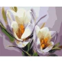 Картина за номерами Brushme Крокуси 40х50 см (BS5828)