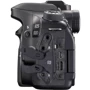 Canon EOS 80D Body UA: Підтримка карт пам'яті SD (SDHC, SDXC)