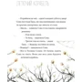 Яна Бауєр: Круторіжка та люта зима. Книга 2: Автор Яна Бауер