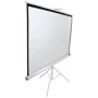 Проекционный экран Elite Screens T99NWS1