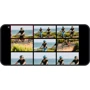 OBSBOT Tail Air AI-Powered 4K PTZ Streaming Camera (OTA-4K, OBSBOT-TAIL-AIR) фото 5