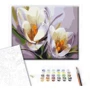 Картина за номерами Brushme Крокуси 40х50 см (BS5828): Виробник Brushme