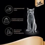 Влажный корм Sheba cij POU для котов с индейкой в желе 12х85 г (4770608257323): Возраст Взрослые