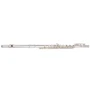 Флейта MAXTONE TFC53S (TFC48S): Производитель MAXTONE