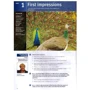 Market Leader (3rd Edition) Advanced Course Book + DVD-ROM + MyEnlglishLab: Производитель Pearson Education