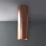 Вытяжка Falmec Polar Copper 35 800 (CPWI90.E4P2#ZZZA491F): Управление Тактовое