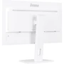Монитор iiyama XUB2797QSN-W2: Частота обновления экрана, Гц 100