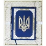 М. С. Грушевський: Ілюстрована історія України (в коробці) фото 12