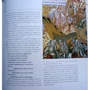 Дракони. Великі і жахливі фото 8