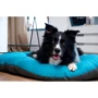 Лежак-подушка Lucky Pet №1 для собак Морфей бирюзовый 40х50 см (215402): Размеры 40х50 см
