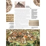 Kyiv: history, architecture, traditions: Жанр Фотоальбомы